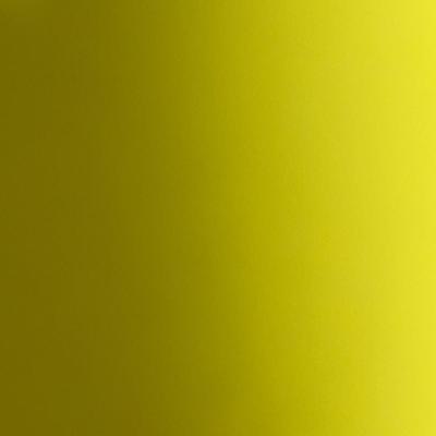 Coleman Fluorescent Camping Light