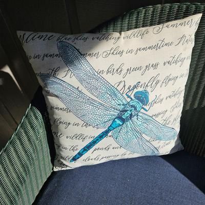 Outdoor Sofa, Coffee Table and Cushions (D-DW)