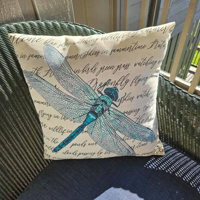 Outdoor Sofa, Coffee Table and Cushions (D-DW)