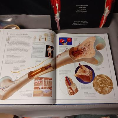 2 WONDERFULLY ILLUSTRATED BOOKS ON ANATOMY