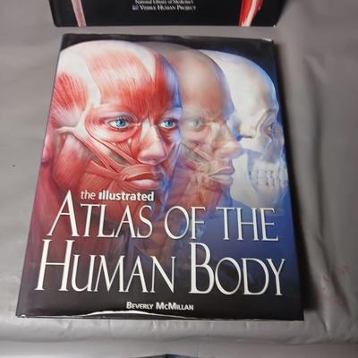 2 WONDERFULLY ILLUSTRATED BOOKS ON ANATOMY