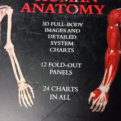 2 WONDERFULLY ILLUSTRATED BOOKS ON ANATOMY