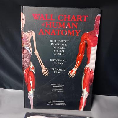 2 WONDERFULLY ILLUSTRATED BOOKS ON ANATOMY