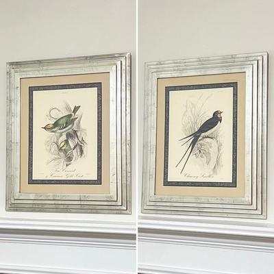 Pair (2) Goldish Silver Framed Bird Prints