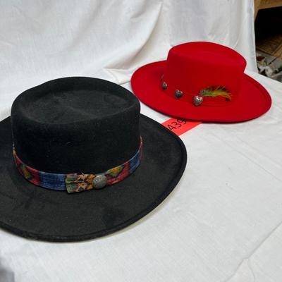 Ladies western hats