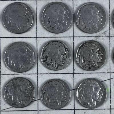 (13) Buffalo Nickel 