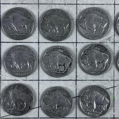 (13) Buffalo Nickel 