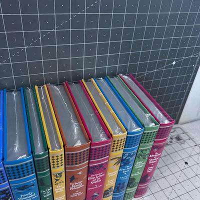 17 Book Series of Your Adult, Finely Bound, Silver Edges, Leather! New Sealed