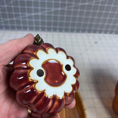 Pumpkin DÃ©cor' FUN! 
