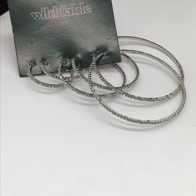 Wild fable hoop earrings set