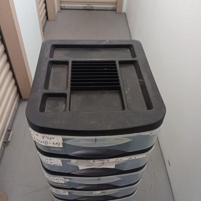 TWO IDENTICAL 10 DRAWER ORGANIZERS (ONLY 1 WAS PHOTOGRAPHED)