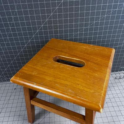 Step Stool 