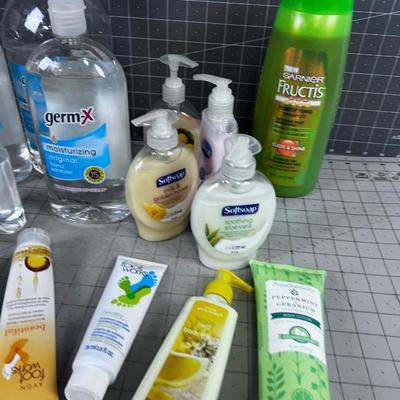 SOAPS: Shampoo, Hand Sanitizer and Hand Soap, Lotion, Etc. 