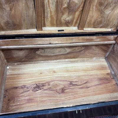 Incredible ART: Carved Camphor Wood Chinese Chest 