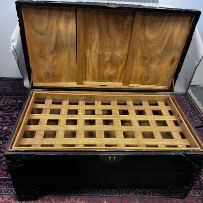 Incredible ART: Carved Camphor Wood Chinese Chest 