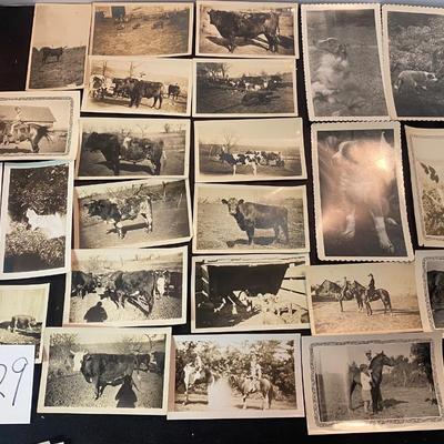 Vintage Photos