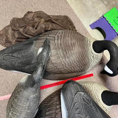 Large Goose Decoys