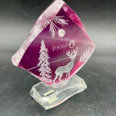 Lucite Yosemite National Park Keepsake