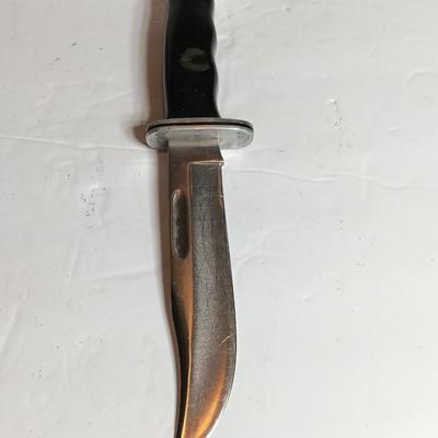 Beautiful BUCK 119 Fixed blade knife with sheath