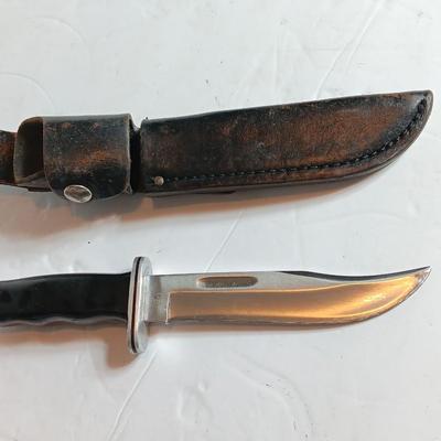 Beautiful BUCK 119 Fixed blade knife with sheath