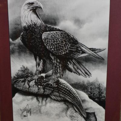 Rustic Pine Framed Print by Jesse Ray Eagle's Catch Wildlife Sketches