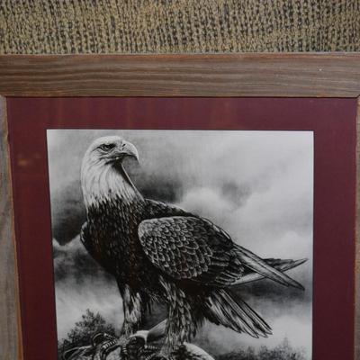 Rustic Pine Framed Print by Jesse Ray Eagle's Catch Wildlife Sketches