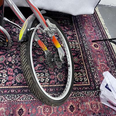 SCHWINN Low Rider Sting Ray with FLAMES 