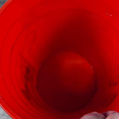 (2) 5 Gallon HOME DEPOT Buckets 