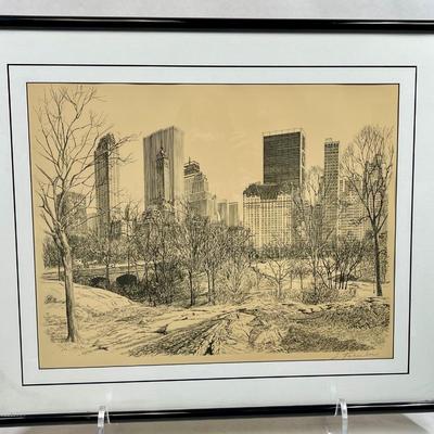 Ink Sketch of Central Park with High Rises in Background S. Finkenberg