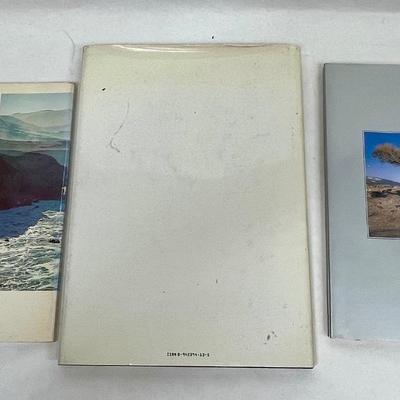 3 vintage coffee table books on California