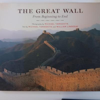 Hardback books - The Great Wall - Crimes & Punishment - Great Disasters - Garden Birds - and The story of America