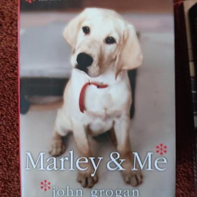 Assortment of books - mostly paperback's Great stories!