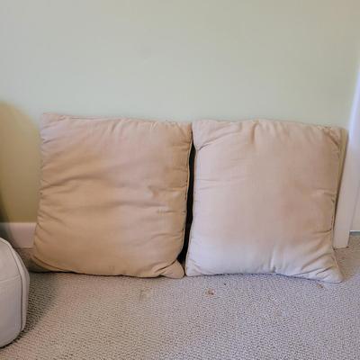 Crate and Barrel Decorative Pillows and More (PB-CE)