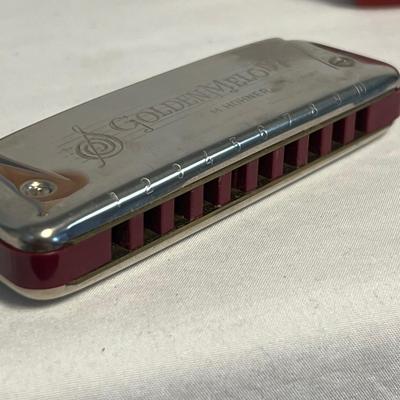 Mini Wooden Dulcimer & Hohner Golden Melody Harmonica (S-RG)