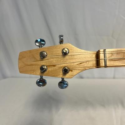 Mini Wooden Dulcimer & Hohner Golden Melody Harmonica (S-RG)