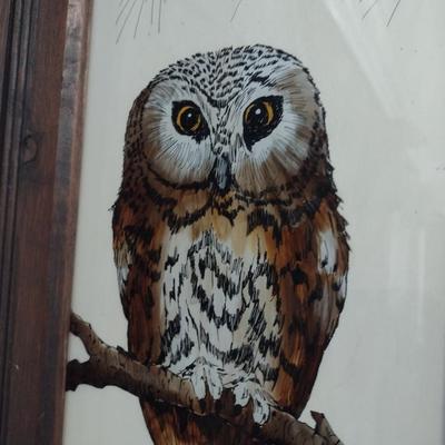 Framed Reverse Glass Owl Painting by Local Artist