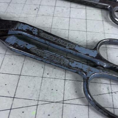 Tin Snips 