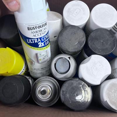 All the Spray Paints