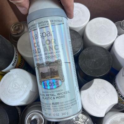 All the Spray Paints