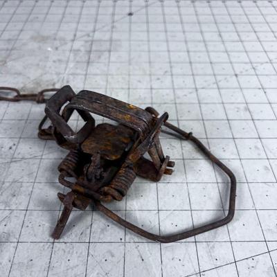 Antique Leg Hold Trap