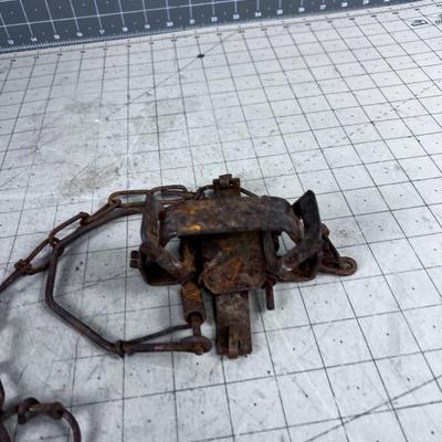 Antique Leg Hold Trap