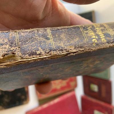 1800s Book Lot Bible Religion Webster Dictionary & More