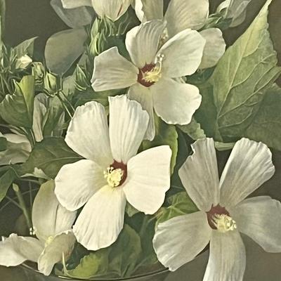 F. JULIA BACH ~ White Mallows (1945) ~ Custom Gilt Wood Frame