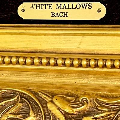 F. JULIA BACH ~ White Mallows (1945) ~ Custom Gilt Wood Frame