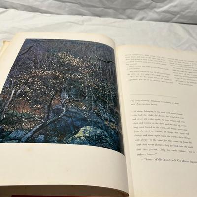 Local Interest Books - Thomas Wolfe, Biltmore, Appalachian Wilderness & More (LR-RG)