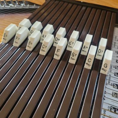 Vintage Chromaharp by Rhythm Brand