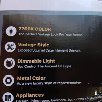 Three new boxes of Letaclanic Vintage Dimmable bulbs ST58 110 Volt