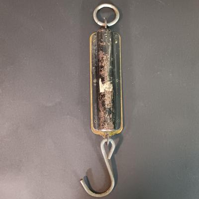 LOT 31: Vintage Chatillon Hanging Scales