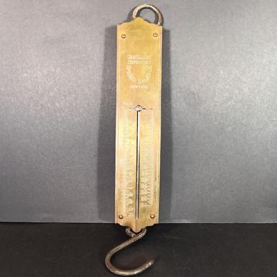 LOT 31: Vintage Chatillon Hanging Scales