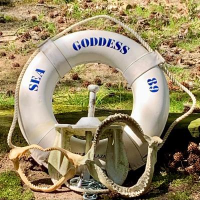 LOT 74: Anchors Away - Sea Goddess Trump Marina Life Preserver, 15lb Anchor and Shark Teeths
